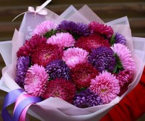 Multycolor aster bouquet